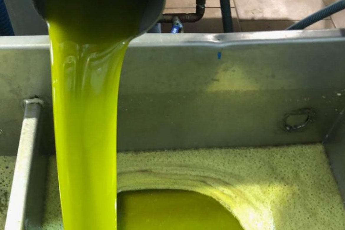 Primera prensada y extracción en frío